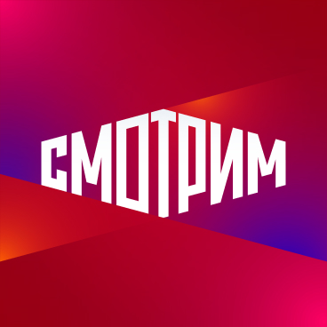 Эксперт Елин: ограничения на выезд могут наложить при долгах от 30 тысяч рублей